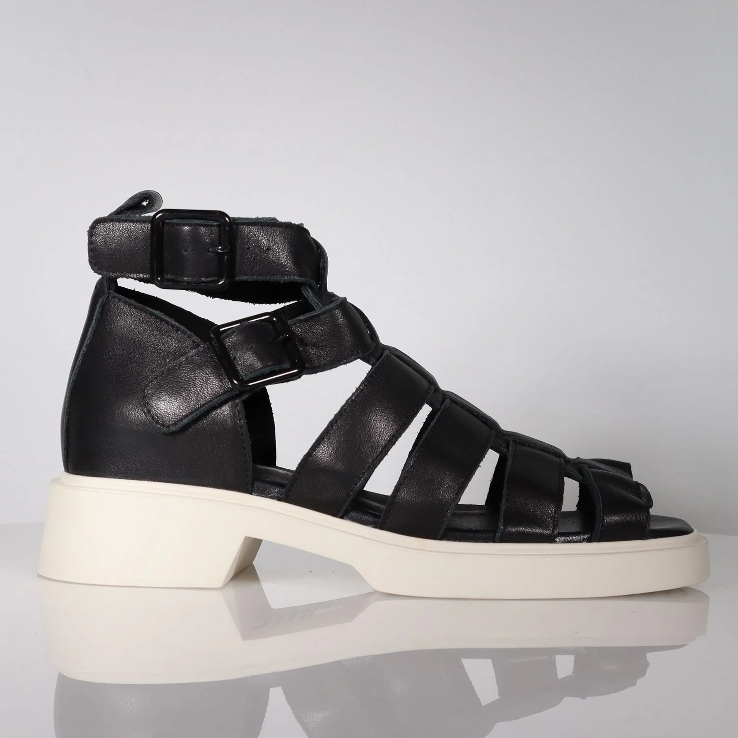 37 SAMPLE - PALOMA/BLACK