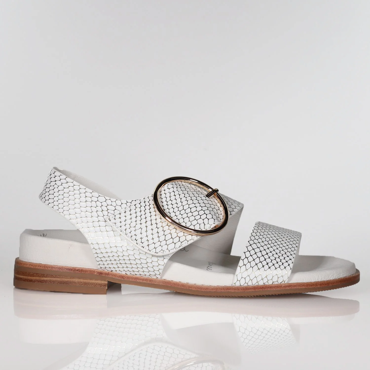 Willa - Image 10