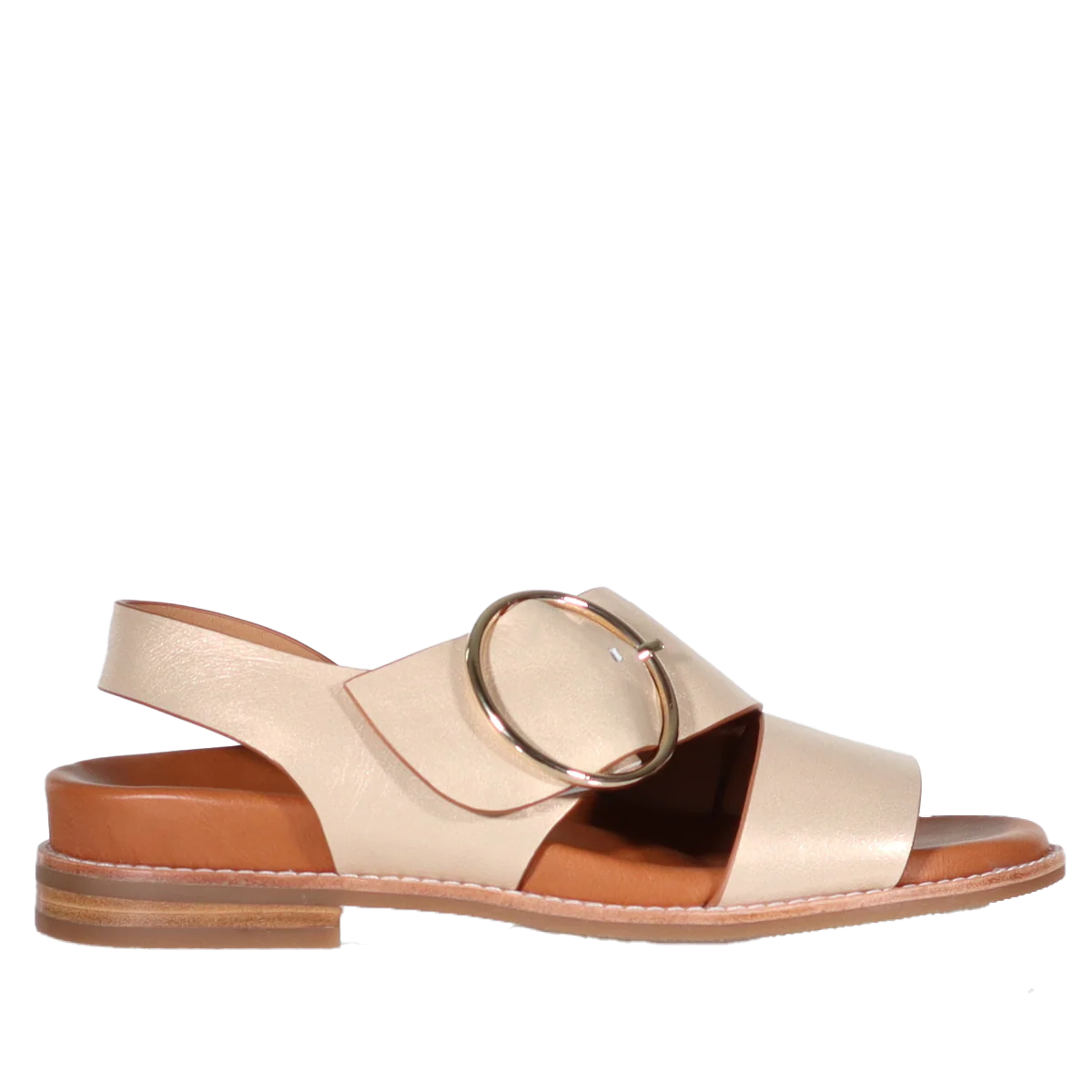 Willa - Image 12